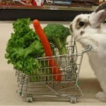 rabbit-shopping