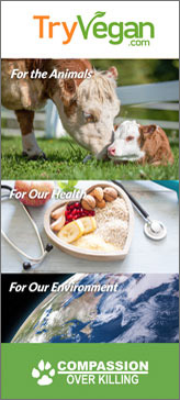 try vegan brochure cover