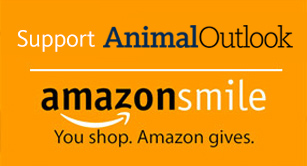 support animal outlook by shopping on amazon