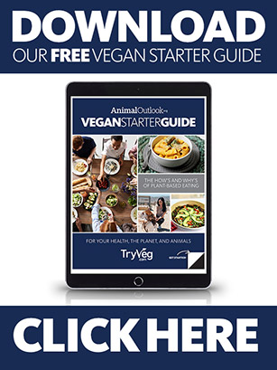 vegan starter guide download