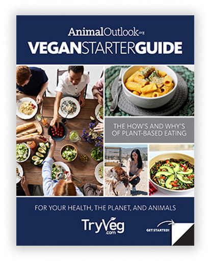 download our free vegan starter guide